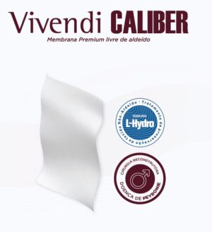 Vivendi Caliber